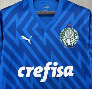24-25 Palmeiras Goalkeeper Blue Kit Football Replicas Yupoo