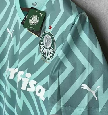 2024/25 Palmeiras keeper groen Kit shirts Supllier albumfoto 5