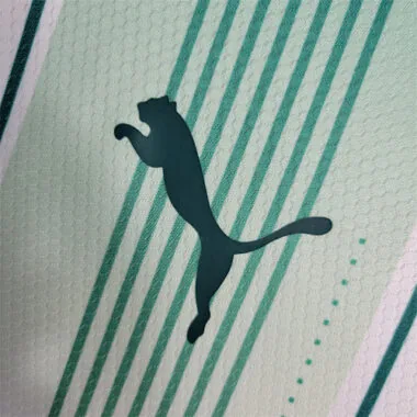 2023/24 Palmeiras away long-sleeved