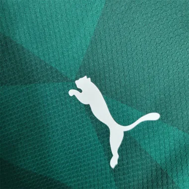 2023/24 Palmeiras home long-sleeved