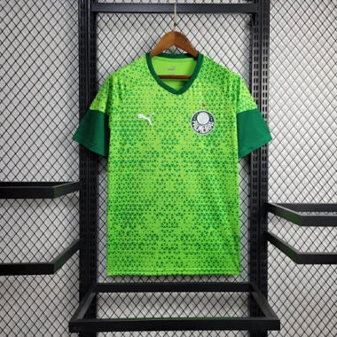 24-25 Palmeiras Training Shirt