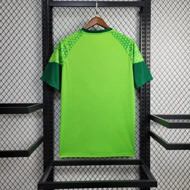 24-25 Palmeiras Training Shirt
