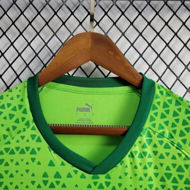 24-25 Palmeiras Training Shirt