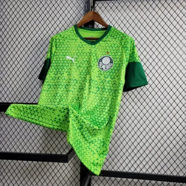 24-25 Palmeiras Training Shirt