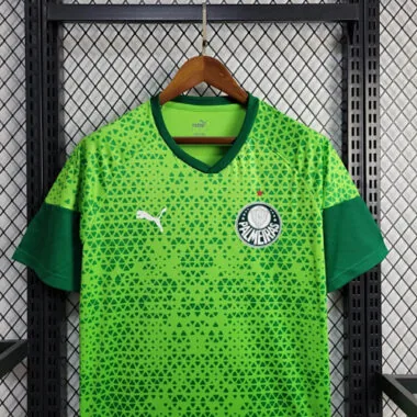 24-25 Palmeiras Training Shirt