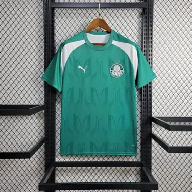 24-25 Palmeiras Training Kit