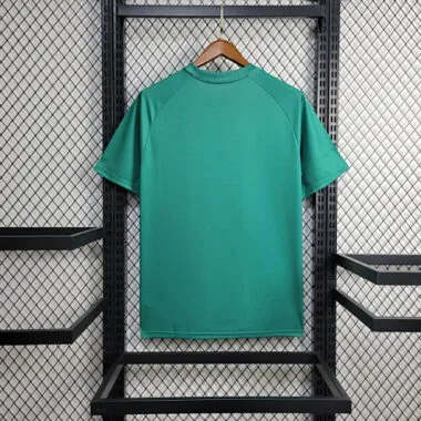 24-25 Palmeiras Training Kit