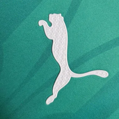 24-25 Palmeiras Training Kit