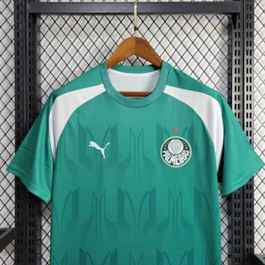 24-25 Palmeiras Training Kit