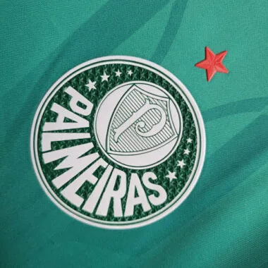 24-25 Palmeiras Training Kit