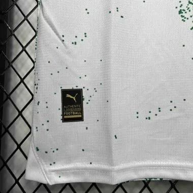 24-25 Palmeiras For a Greener Future Special Edition 2 Kit