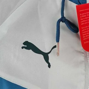 2022 Palmeiras blue Windbreaker
