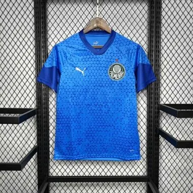 2024/25 Palmeiras Goalkeeper Blue Kit Football Uniform