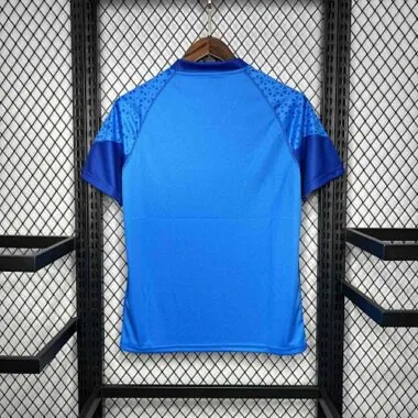 2024/25 Palmeiras Goalkeeper Blue Kit Football Uniform