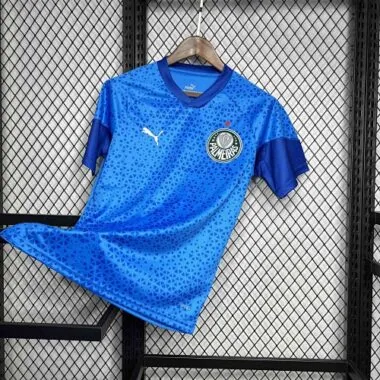 2024/25 Palmeiras Goalkeeper Blue Kit Football Uniform