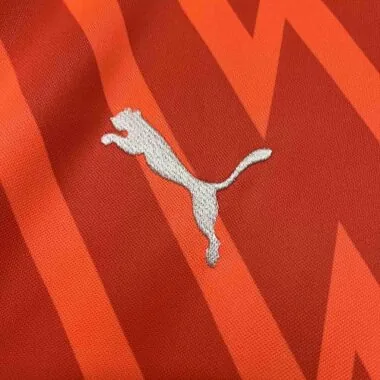2024/25 Palmeiras Goalkeeper Orange Kit