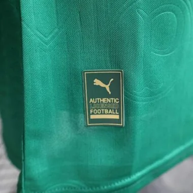 24-25 Palmeiras thuisshirt, spelersversie