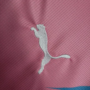23-24 Palmeiras Special Edition Pink&amp;Blue S-4XL Cheap Soccer Jerseys