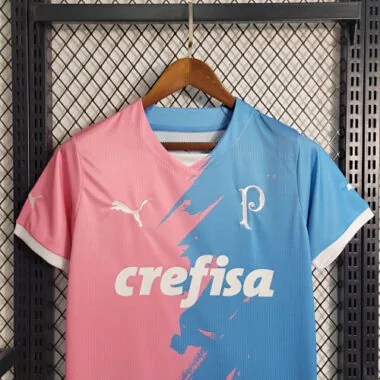 23-24 Palmeiras Special Edition Pink&amp;Blue S-4XL Cheap Soccer Jerseys