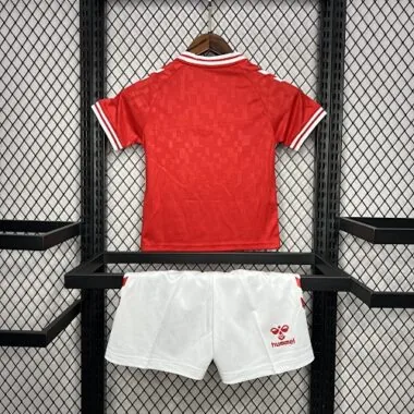 2024 Denmark Home Kid Kits UEFA Euro Youth Apparels