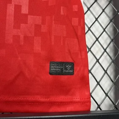 2024 Denmark Home Kid Kits UEFA Euro Youth Apparels