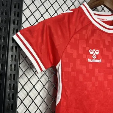 2024 Denmark Home Kid Kits UEFA Euro Youth Apparels