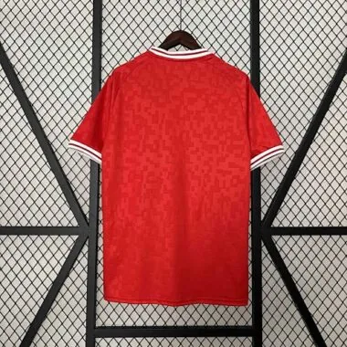 2024 Denmark Home Kit UEFA Euro Shirt