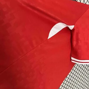 2024 Denmark Home Kit UEFA Euro Shirt