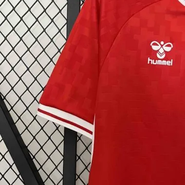 2024 Denmark Home Kit UEFA Euro Shirt