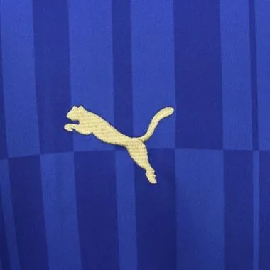 2016-17 Retro Leicester City Home