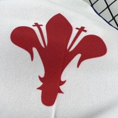 1998-99 Retro Fiorentina Home