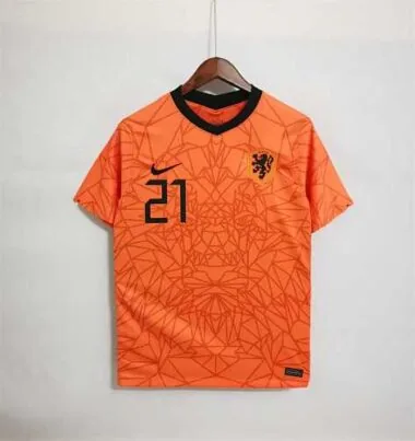 2020 Netherlands home