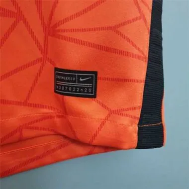 2020 Netherlands home