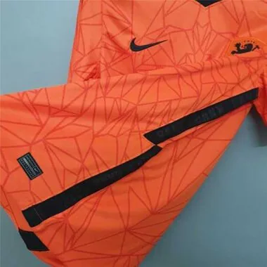 2020 Netherlands home