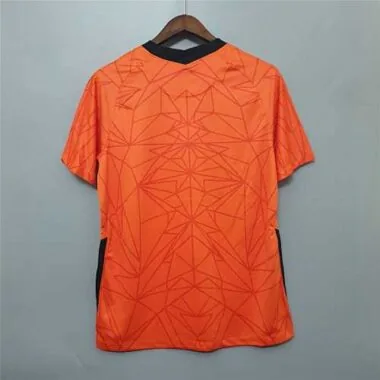 2020 Netherlands home