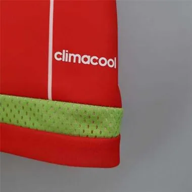 15-16 Wales home