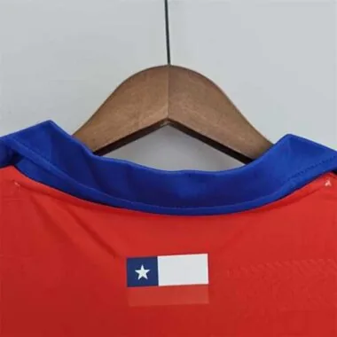 2014 Chile home
