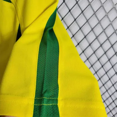 2002 Brazil home