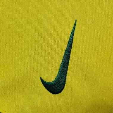 2002 Brazil home