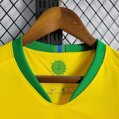 2018 Brazil home