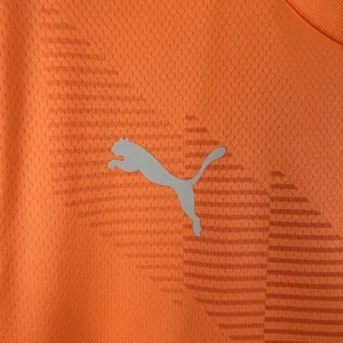 2023/24 Goalkeeper Palmeiras Orange