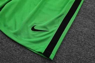 Guarda-redes verde da França de 2021