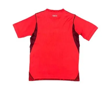 2026 Turkey Away Kit S-4XL World Cup Cheap Football Jersey Wholesale Yupoo