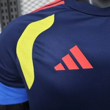 2026 Player Colombia Training Kit World Cup Cheap Football Jersey Wholesale Yupoo
