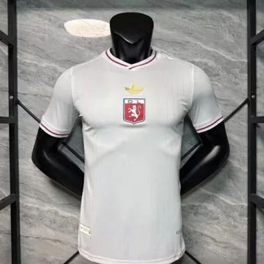 25-26 Player Lyon 75th Anniversary Kit Cheap Football Jersey Wholesale Yupoo