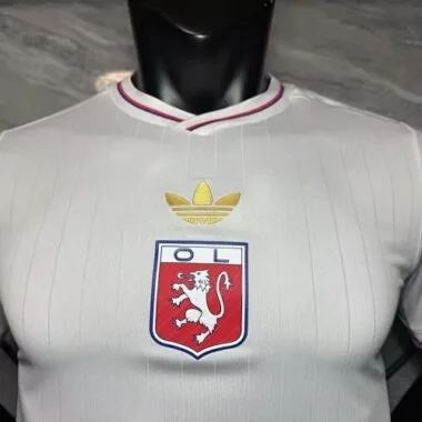 25-26 Player Lyon 75th Anniversary Kit Cheap Football Jersey Wholesale Yupoo