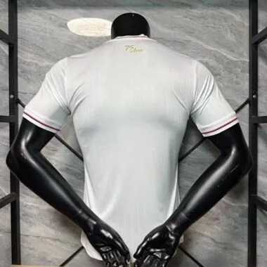 25-26 Player Lyon 75th Anniversary Kit Cheap Football Jersey Wholesale Yupoo