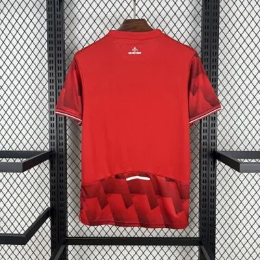 25-26 Lille Home Kit S-4XL Cheap Soccer Jerseys Wholesale Yupoo