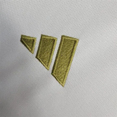 23-24 Lyon home