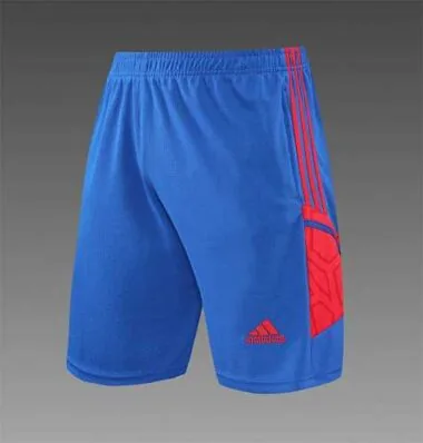 22-23 Lyon Training Suit Short Sleeve Kit Blue